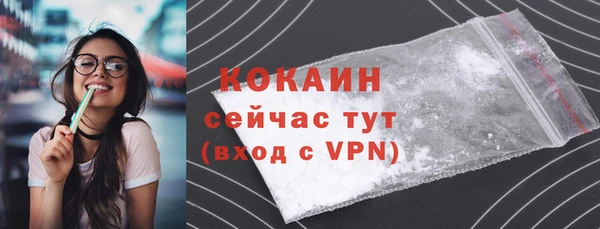альфа пвп Новодвинск