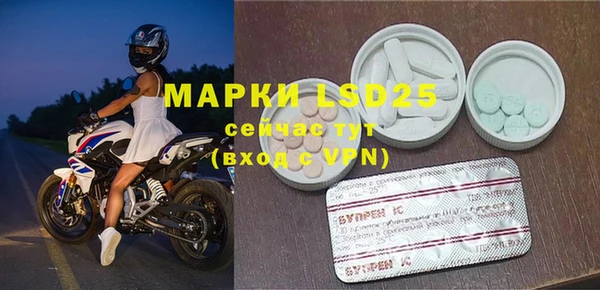 альфа пвп Новодвинск