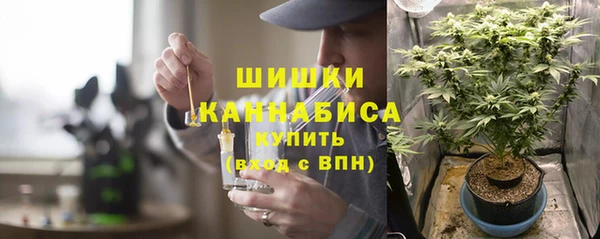 альфа пвп Новодвинск