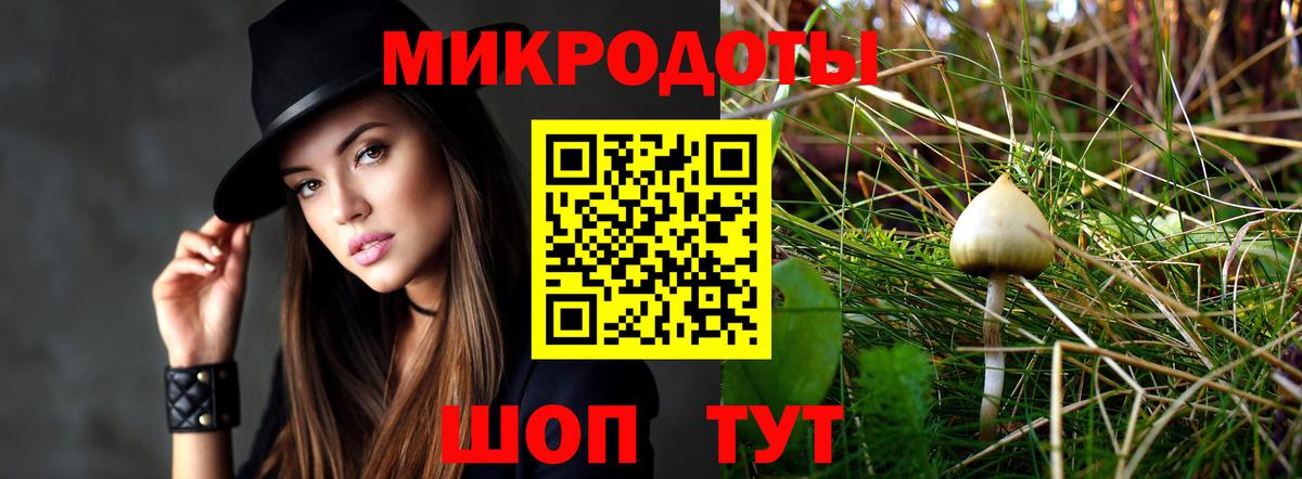 купить наркотики цена  Вход с VPN  Братск  Галлюциногенные грибы Cubensis 