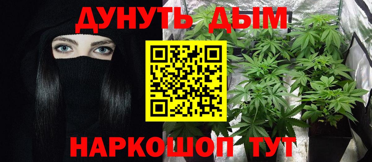 Братск  Бошки Шишки ГИДРОПОН  Вход с VPN  Конопля OG Kush  Конопля сатива 